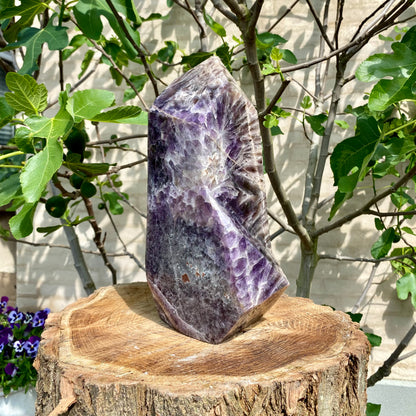 Polierte Traumblume Amethyst - 32 cm / 8,5 kg