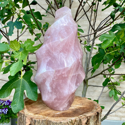 Polerad Rose Quartz Flame - 45 cm / 32,5 kg 