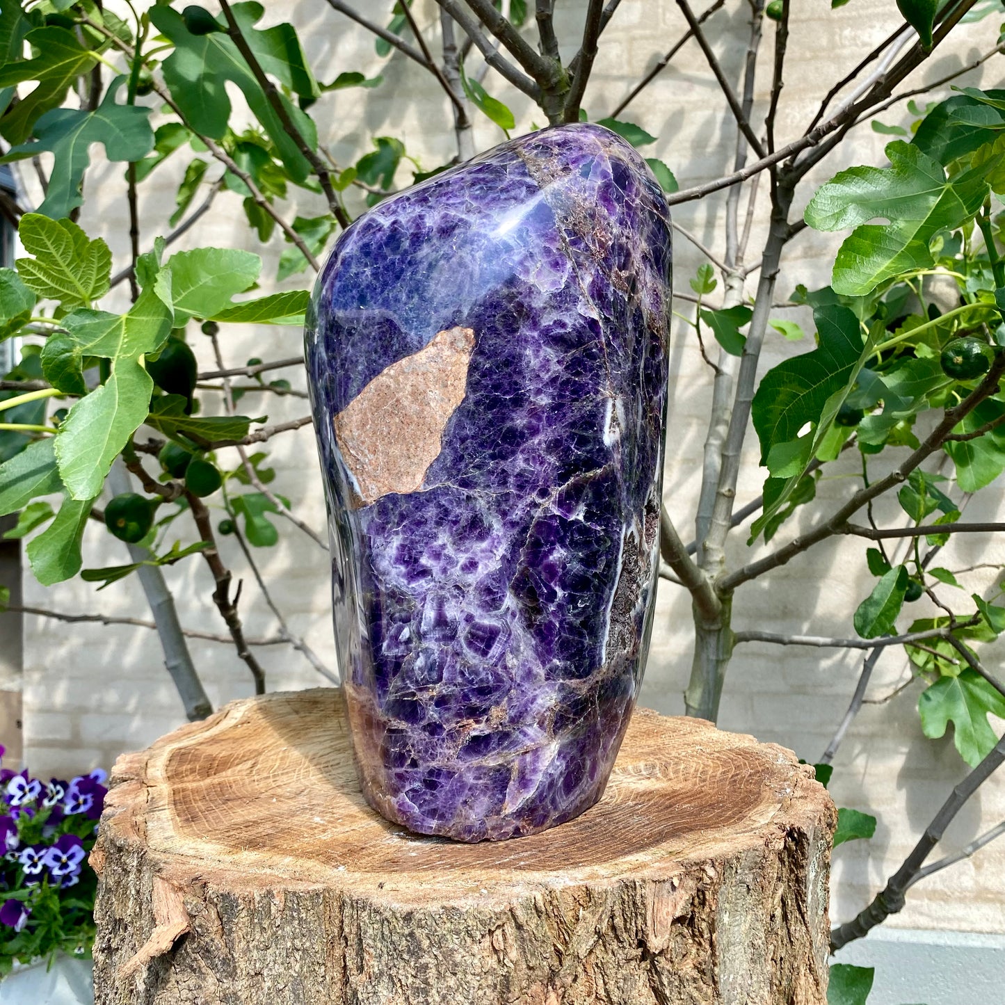 Polierter tiefvioletter Amethyst - 34 cm / 20,7 kg Polierter tiefvioletter Amethyst - 34 cm / 20,7 kg