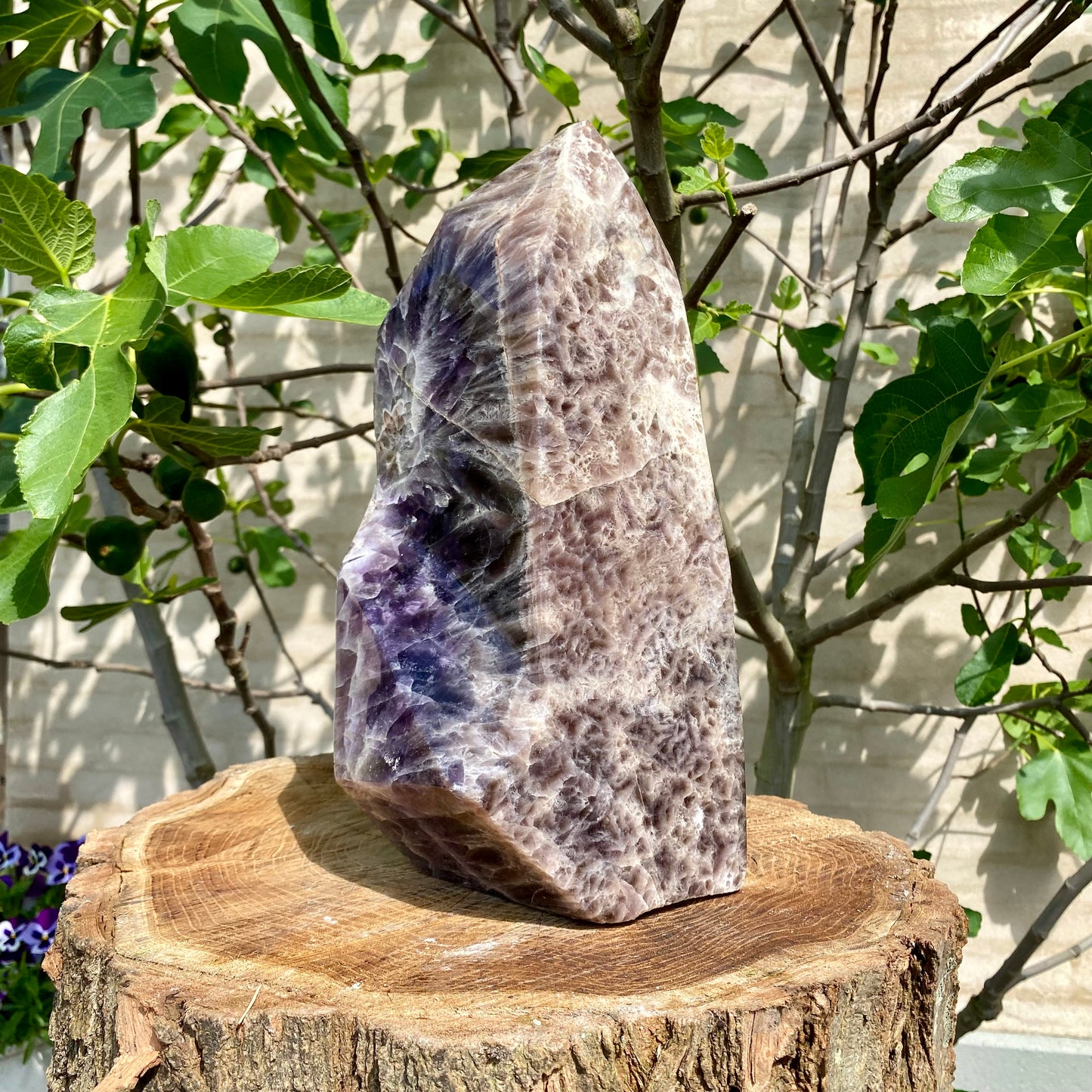 Polierte Traumblume Amethyst - 32 cm / 8,5 kg Polierte Traumblume Amethyst - 32 cm / 8,5 kg