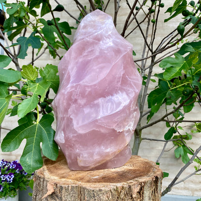 Polerad Rose Quartz Flame - 45 cm / 32,5 kg 