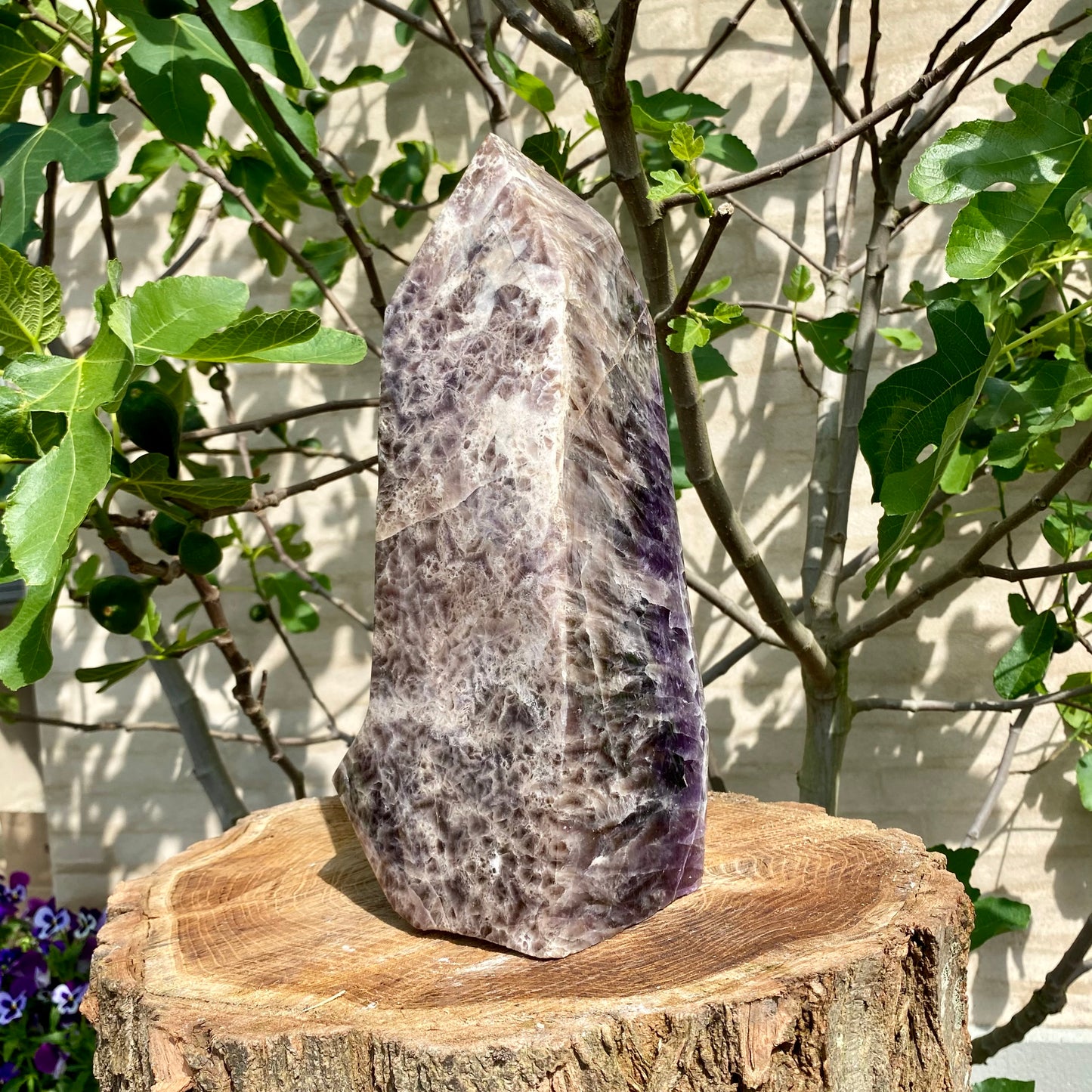 Polierte Traumblume Amethyst - 32 cm / 8,5 kg Polierte Traumblume Amethyst - 32 cm / 8,5 kg