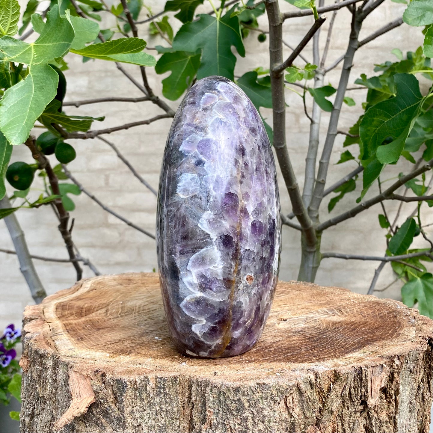 Polierte Blume Amethyst - 21 cm / 4,9 kg  Polierte Blume Amethyst - 21 cm / 4,9 kg 