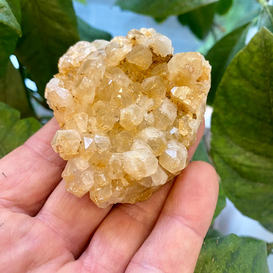 Billede af Golden healer / Limonite kvartskluster, Zambia