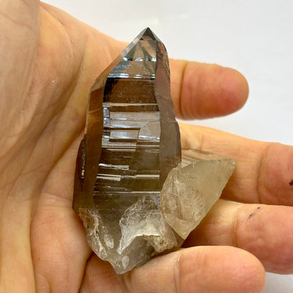 Rauchquarz Lemurian Spitze natürlich 7 cm