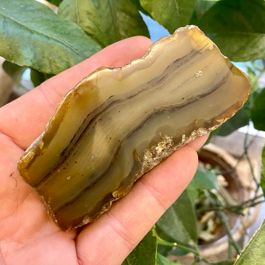 Billede af Agate River, Limpopo - Südafrika