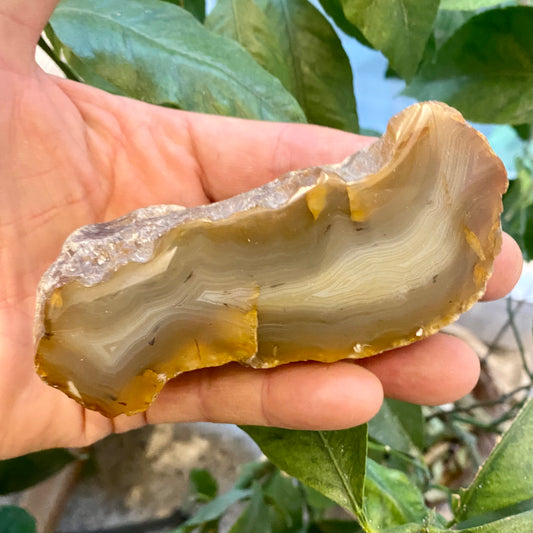 Billede af Agate River, Limpopo - Südafrika