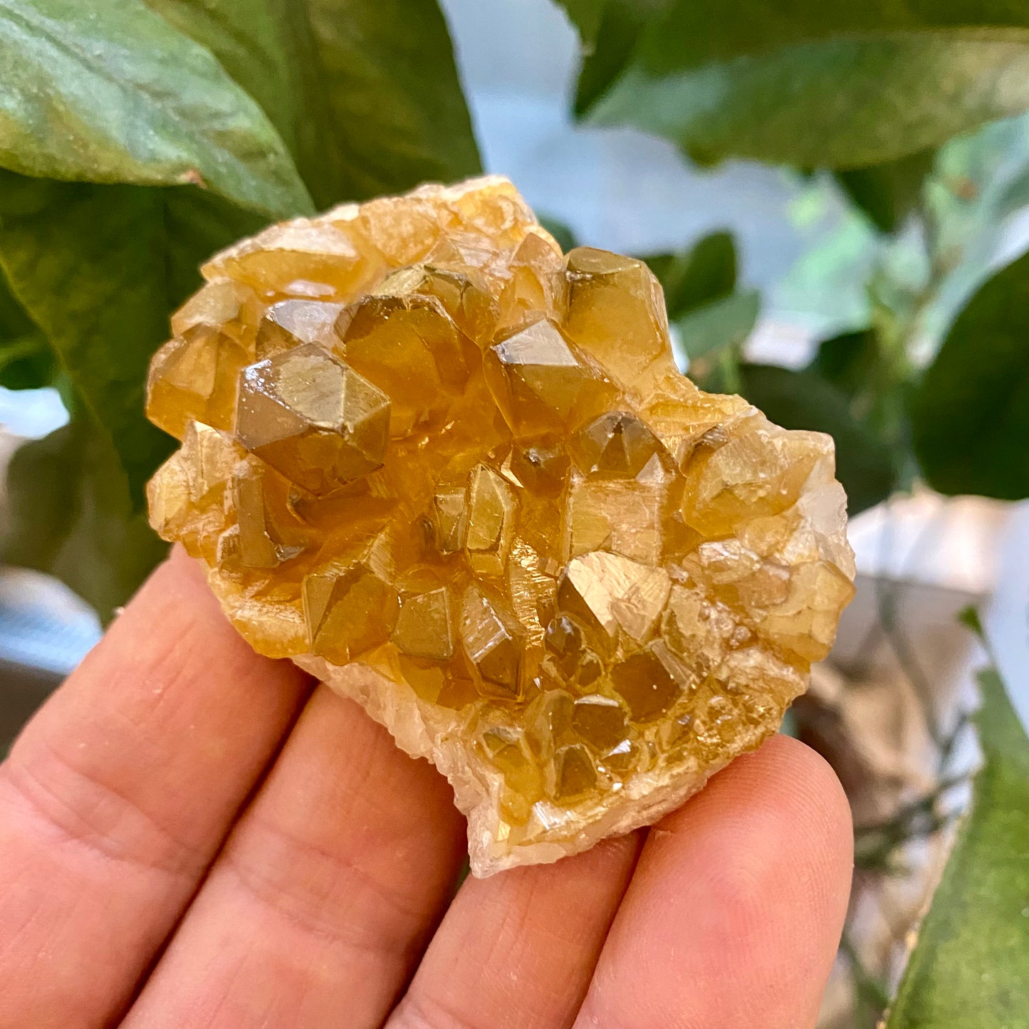 Goldener Heiler / Limonit-Quarz-Cluster, Sambia Goldener Heiler / Limonit-Quarz-Cluster, Sambia