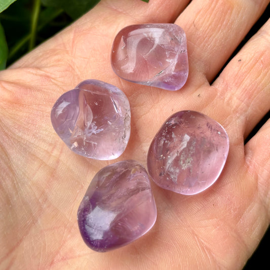 Billede af Amethyst, hellklar 2,5 cm - Taschenstein