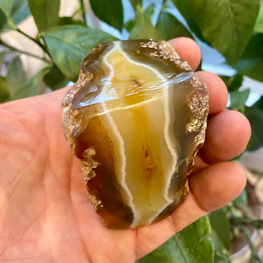 Billede af Agate River, Limpopo - Südafrika