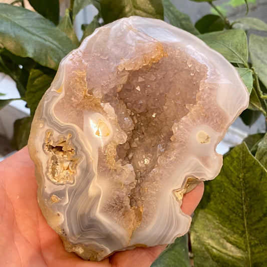 Billede af Achat-Geode, poliert