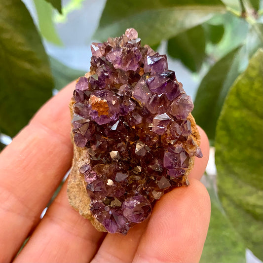 Billede af Amethyst-Cluster, Südafrika