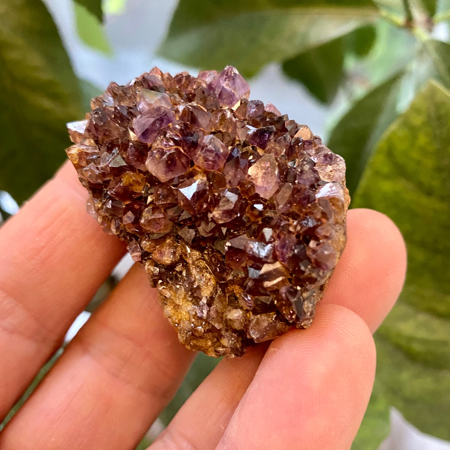 Amethyst-Cluster, Südafrika Amethyst-Cluster, Südafrika