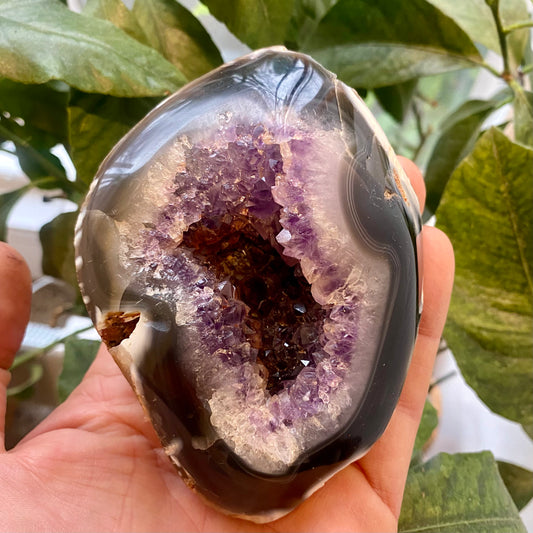 Billede af Achat-Geode, poliert