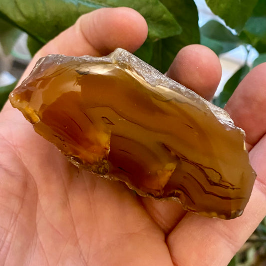 Billede af Agate River, Limpopo - Südafrika