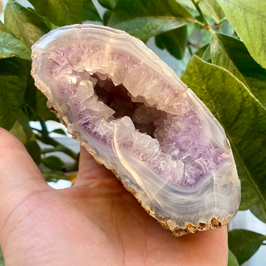 Billede af Achat-Geode, poliert