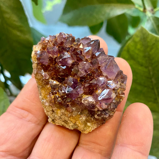 Billede af Amethyst-Cluster, Südafrika