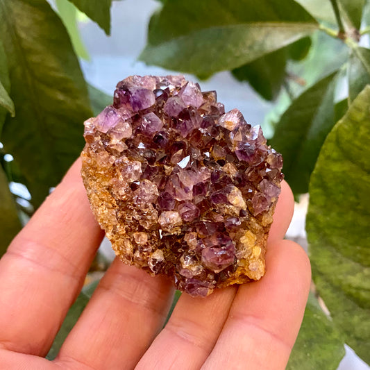 Billede af Amethyst-Cluster, Südafrika