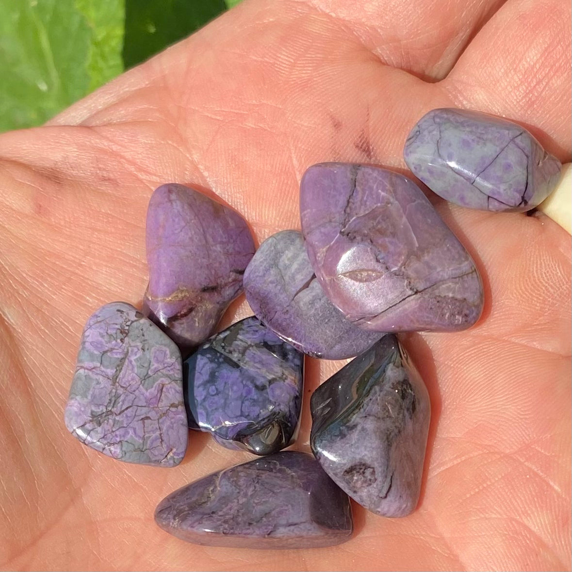 Sugilite - Pocket Stone Sugilite - Pocket Stone