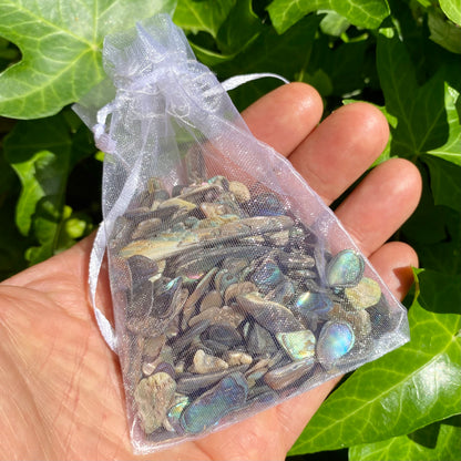 Paua skal 100 gram