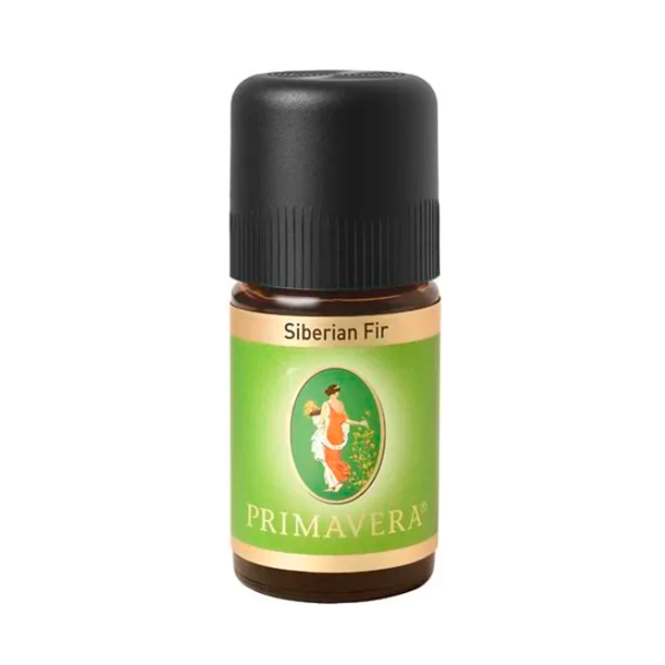 Primavera: Riesentanne 5 ml Primavera: Riesentanne 5 ml