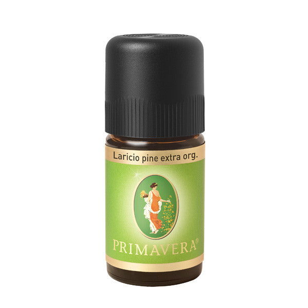 Primavera: Korsische Schwarzkiefer 5 ml Primavera: Korsische Schwarzkiefer 5 ml