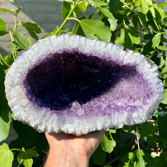 Billede af Amethyst Füllhorn